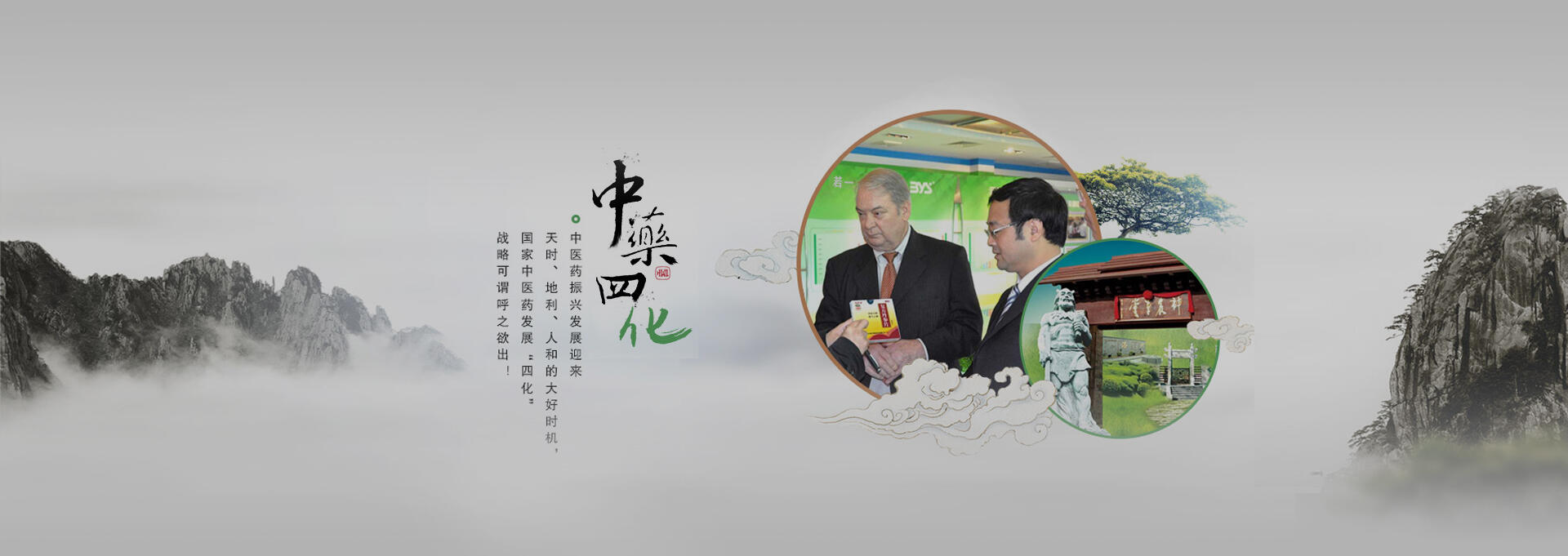 翠屏建站-若一医药科技