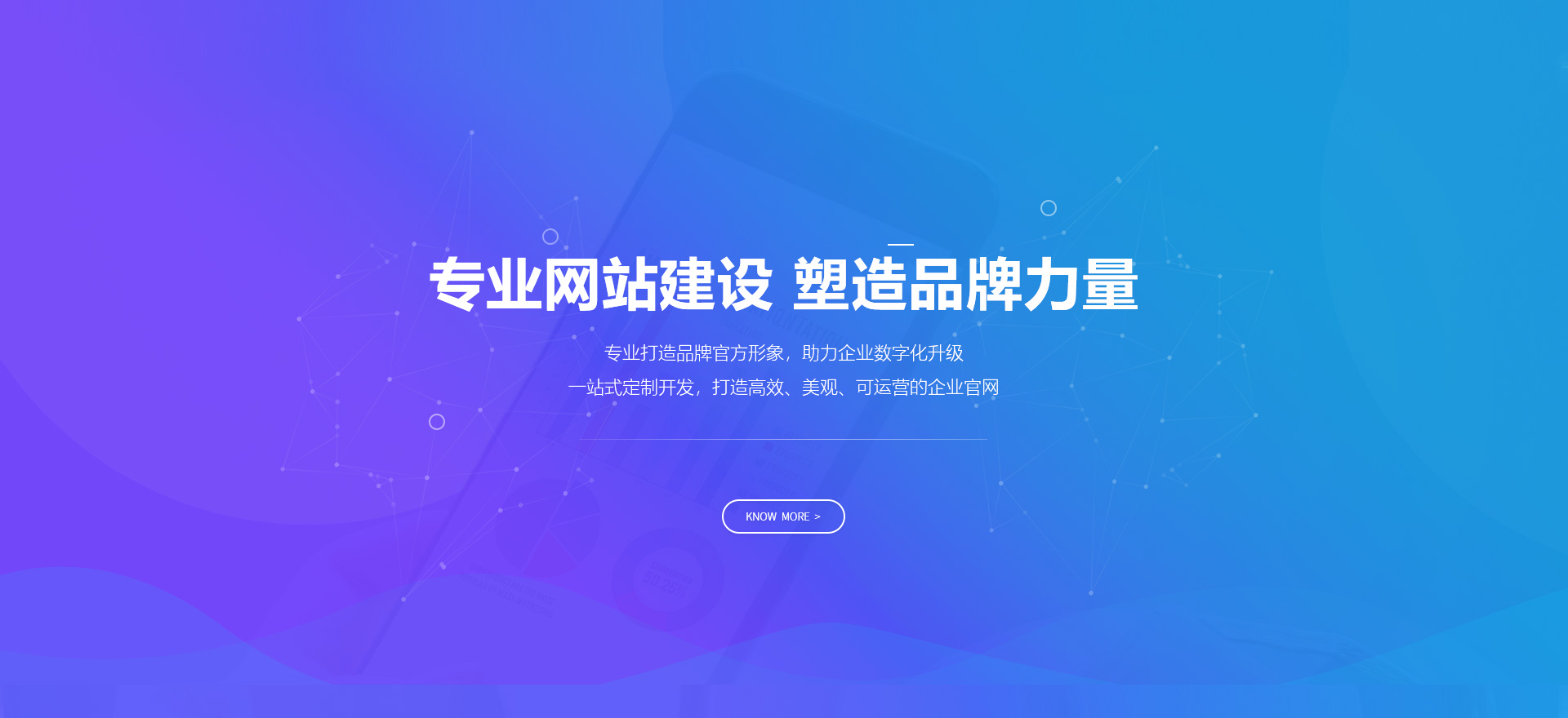 翠屏建站-专业网站建设 塑造品牌力量